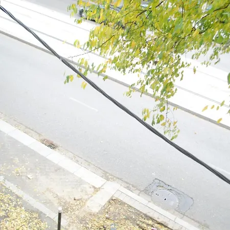 With Office Wifi Parking Balcony *